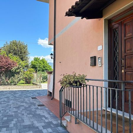Albi'S House,Terrazza ,Wi-Fi, Parcheggio, Ac Apartment ลุคคา ภายนอก รูปภาพ