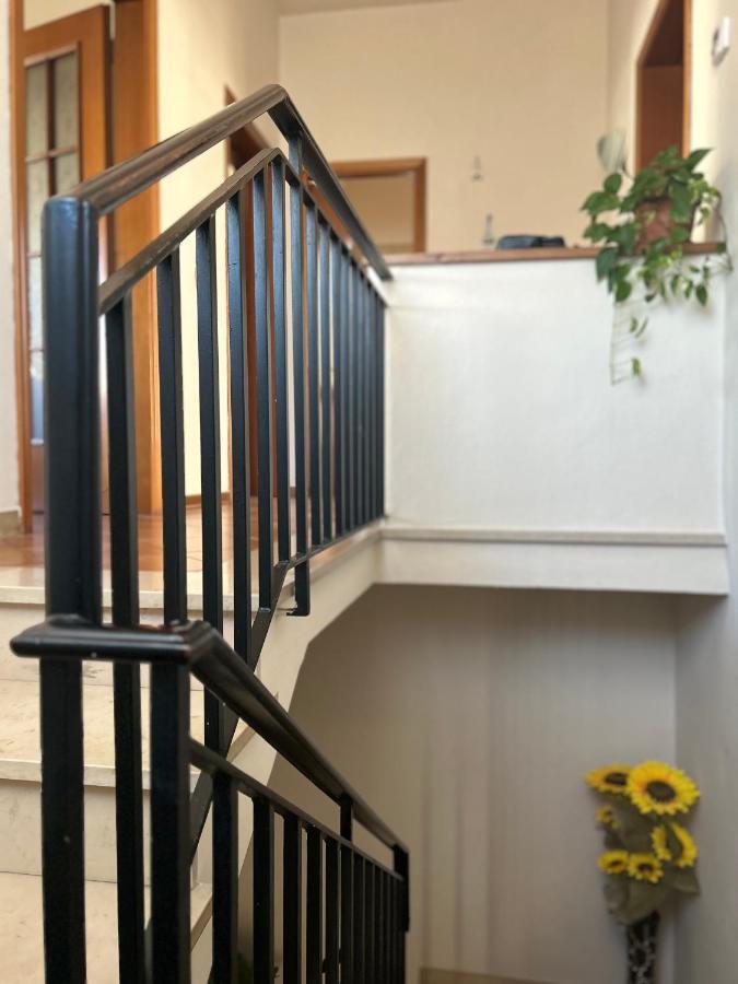 Albi'S House,Terrazza ,Wi-Fi, Parcheggio, Ac Apartment ลุคคา ภายนอก รูปภาพ