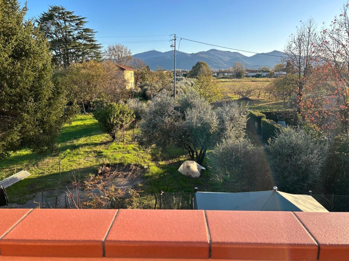 Albi'S House,Terrazza ,Wi-Fi, Parcheggio, Ac Apartment ลุคคา ภายนอก รูปภาพ