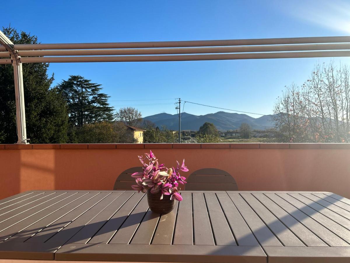 Albi'S House,Terrazza ,Wi-Fi, Parcheggio, Ac Apartment ลุคคา ภายนอก รูปภาพ