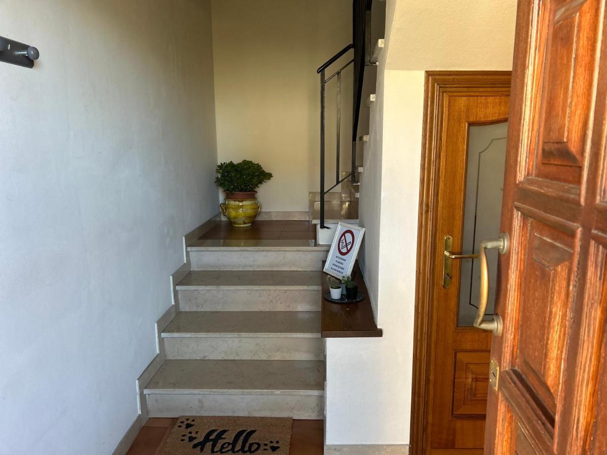 Albi'S House,Terrazza ,Wi-Fi, Parcheggio, Ac Apartment ลุคคา ภายนอก รูปภาพ