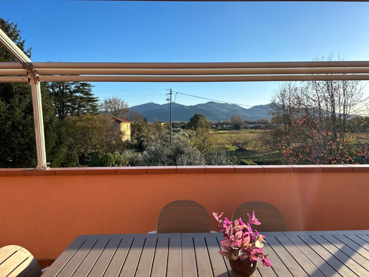 Albi'S House,Terrazza ,Wi-Fi, Parcheggio, Ac Apartment ลุคคา ภายนอก รูปภาพ