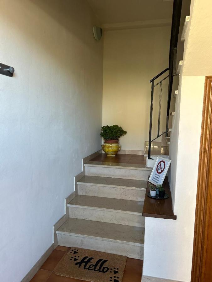 Albi'S House,Terrazza ,Wi-Fi, Parcheggio, Ac Apartment ลุคคา ภายนอก รูปภาพ